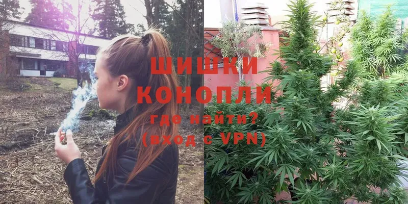 Марихуана OG Kush  магазин    Медынь 